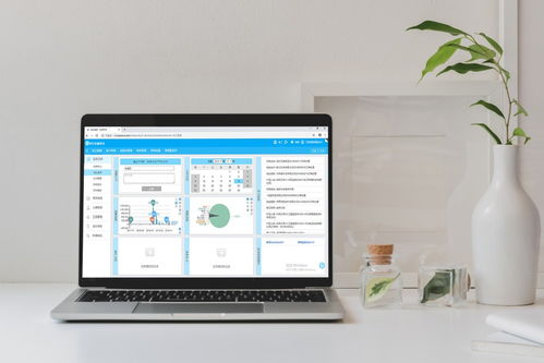四川成都軟件開發公司概覽與行業動態