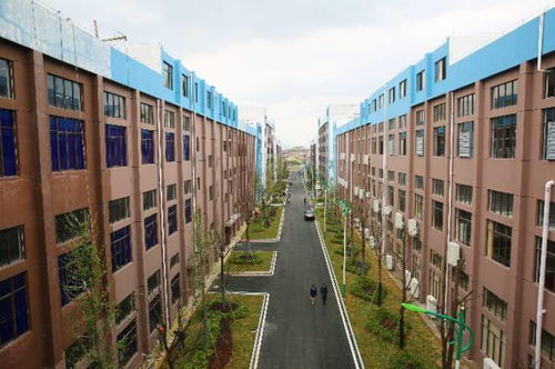 寧鄉造 匠心獨運，讓你‘秀’出滿身氣質