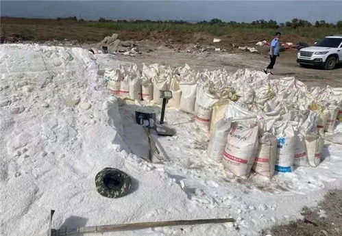 假鹽泛濫，五百余噸地下鹽場被摧毀